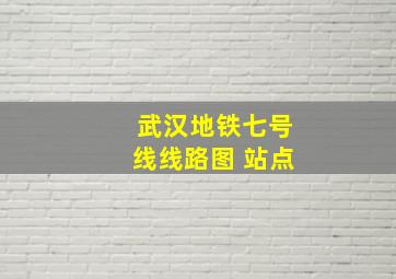 武汉地铁七号线线路图 站点